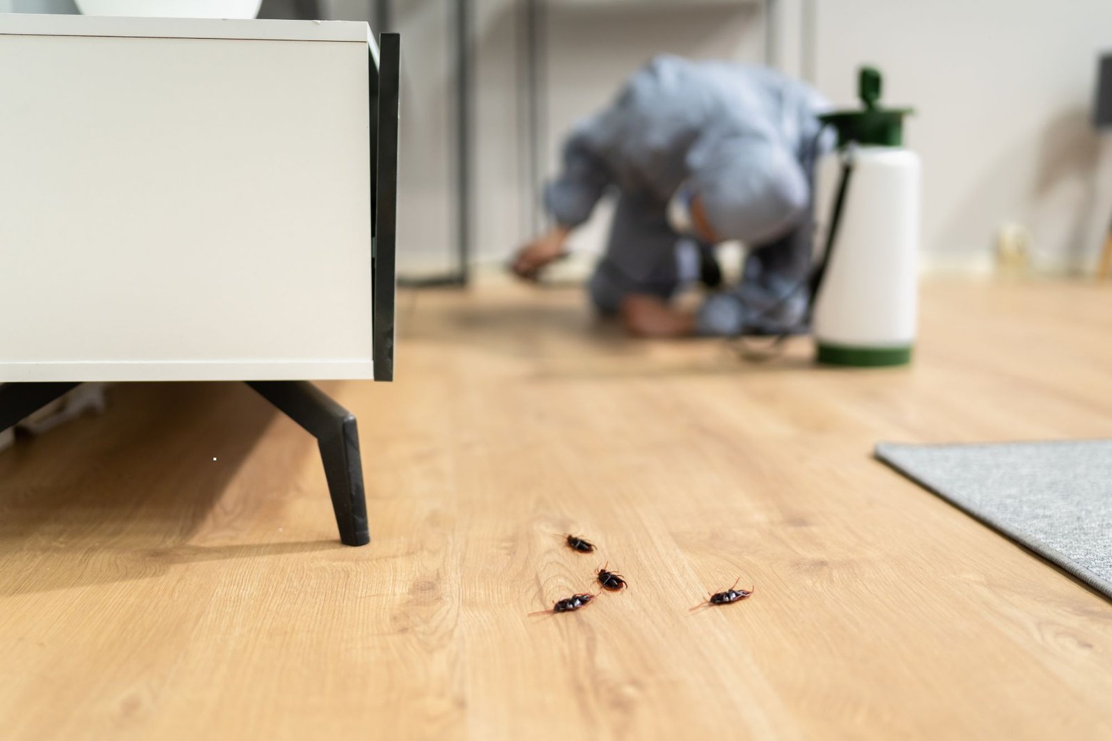 A man is cleaning a room with bugs on the floor, showcasing a pest control service in Honolulu, HI.